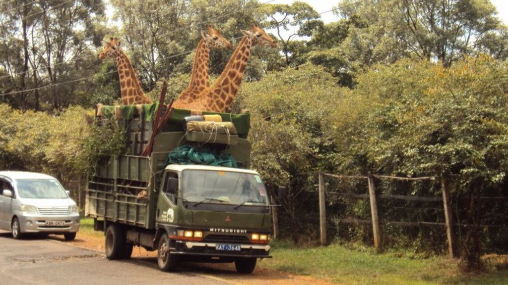 Giraffe Center Nairobi