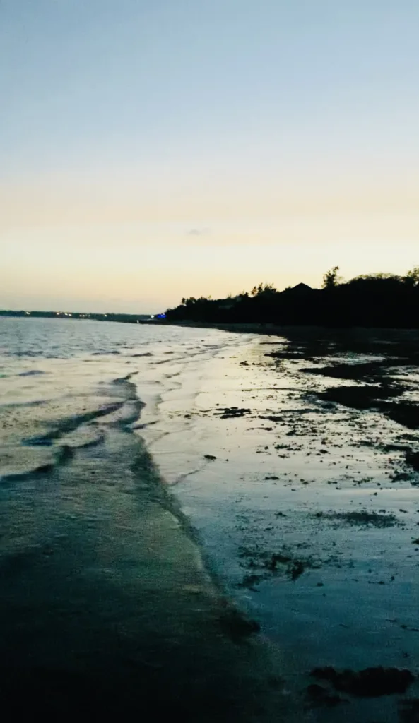Dondoo Apartments Kilifi