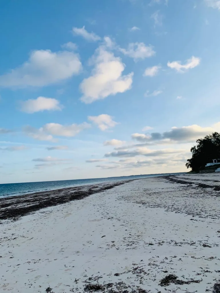 Vidazini Beach Kilifi
