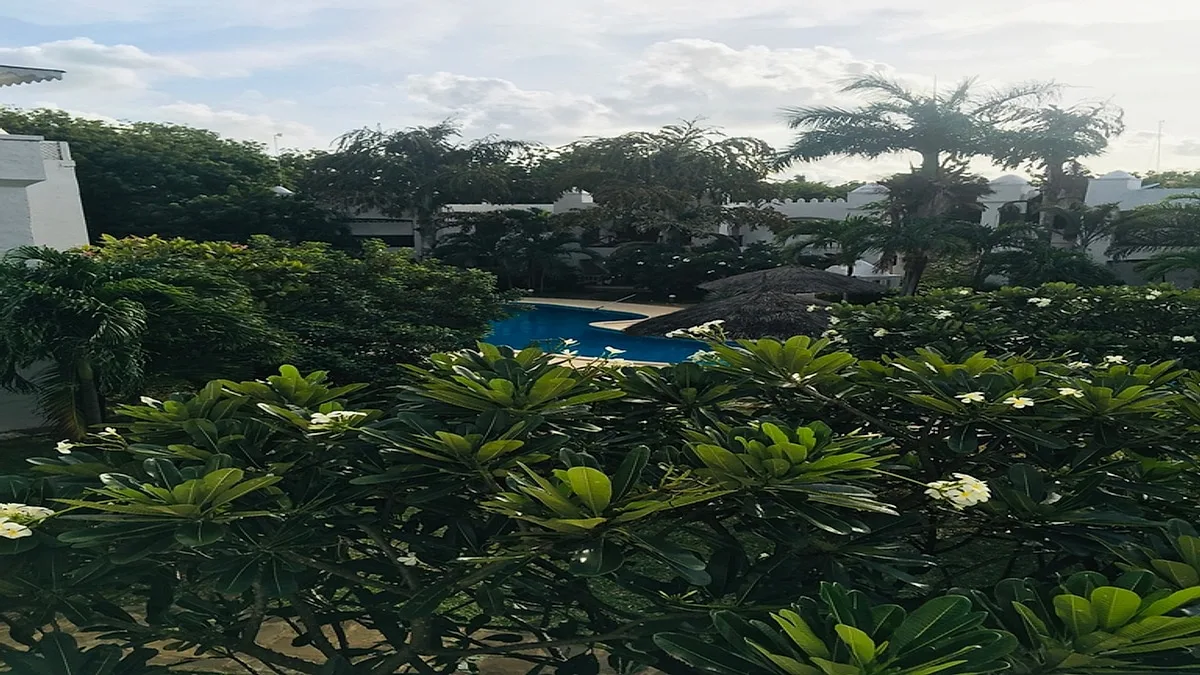 Kilifi Digital Nomads