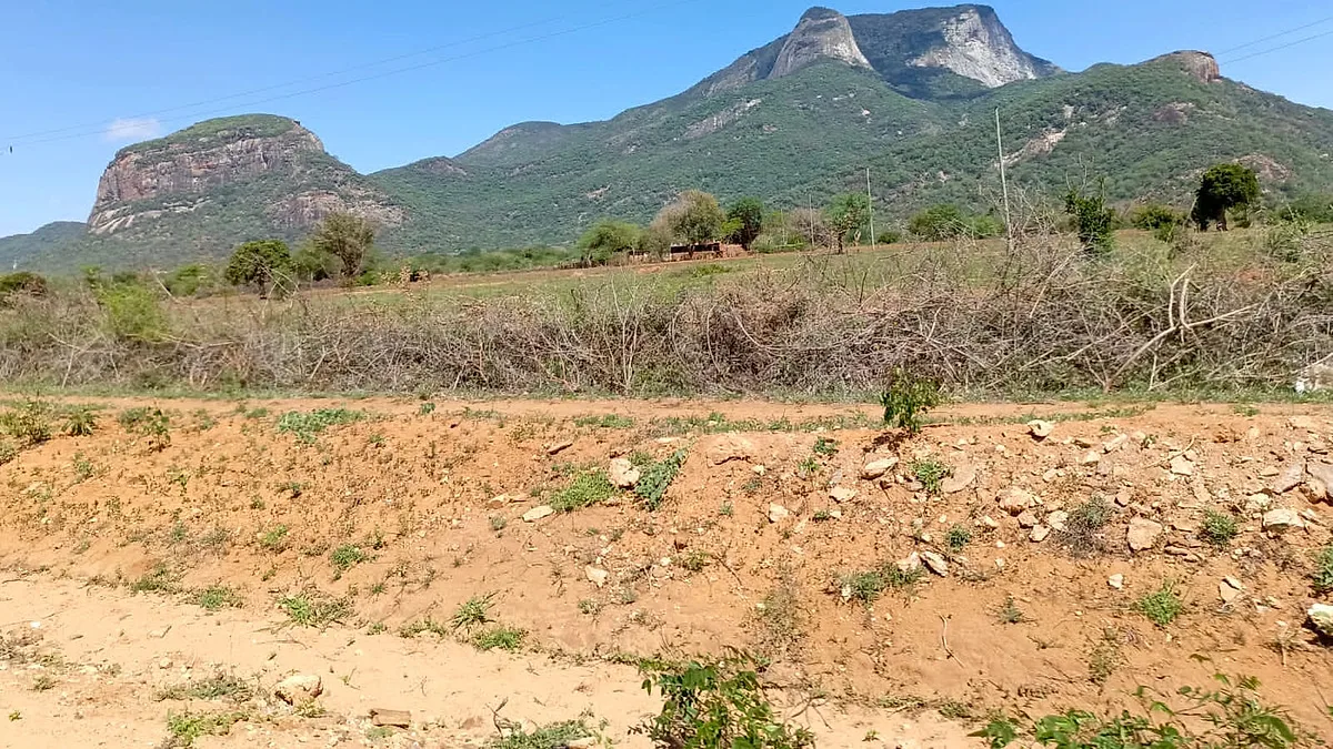 Mt. Kasigau
